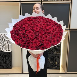 101 red roses (70 sm)