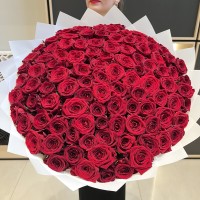 101 красная роза (70 см)