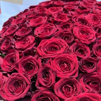 101 красная роза (70 см)