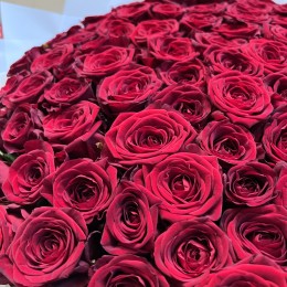 101 красная роза (70 см)