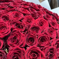 101 красная роза (70 см)