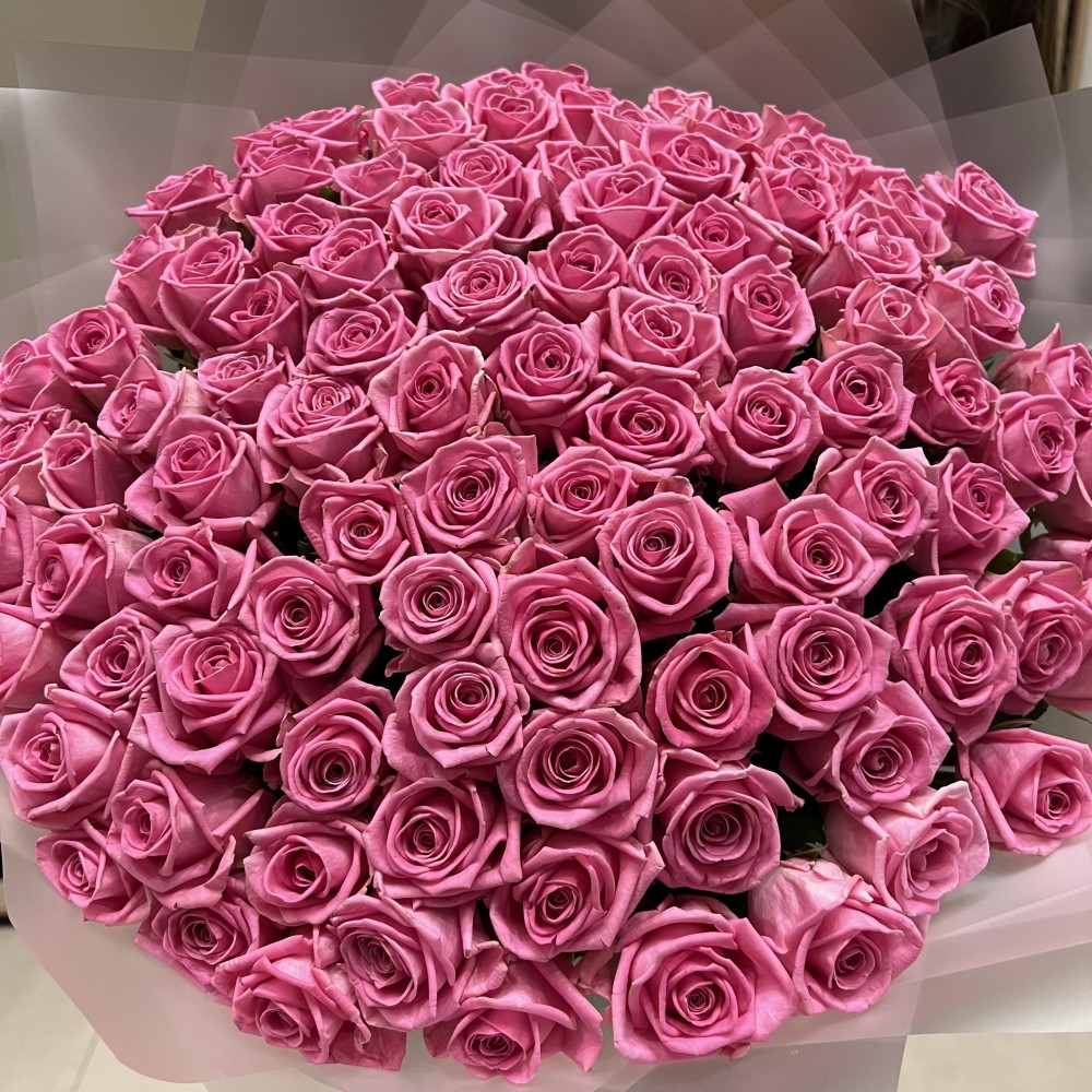 101 rose roses (50 sm)