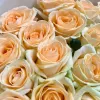 Роскошный букет из 25 кремовых роз высотой 70 см